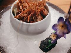 -7017浙菜•建德味(中财店)