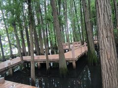 -东湖落雁景区