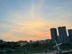-深圳湾公园(南山区)