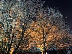 -龙美术馆(西岸馆)