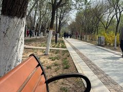 -南翠屏公园