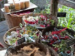 -大象粑粑造纸公园