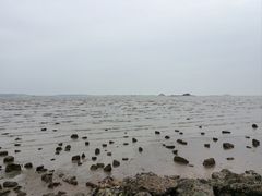 -厦门高崎国际机场-T3航站楼