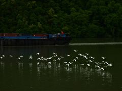 -严子陵钓台(富春江小三峡)