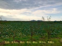 -奥特莱斯停车场