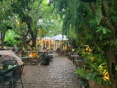 -Fern Forest Cafe