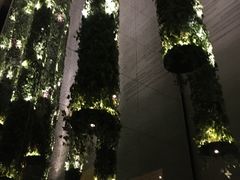 -顶层酒吧ROOF(上海艾迪逊酒店)