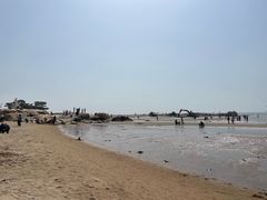 -老虎石海上公园