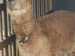 -瑞博尔花园酒店(太周创新产业园店)