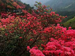 -木兰云雾山