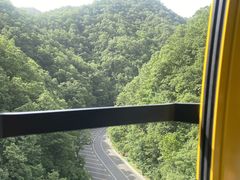 -栾川竹海野生动物园