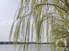 -石湖景区