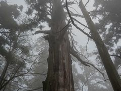 -东天目山风景区