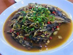 -全乐鱼馆·淳牌有机鱼直营店