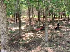 -永定河休闲森林公园