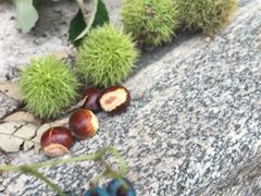 -雾灵西峰