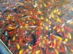 -泰安地下龙宫景区