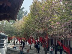 -西安青龙寺遗址景区