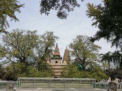 -北京石刻艺术博物馆(五塔寺)