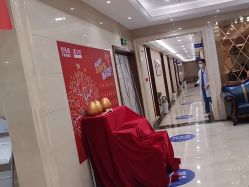 -碧莲盛·不剃发植发