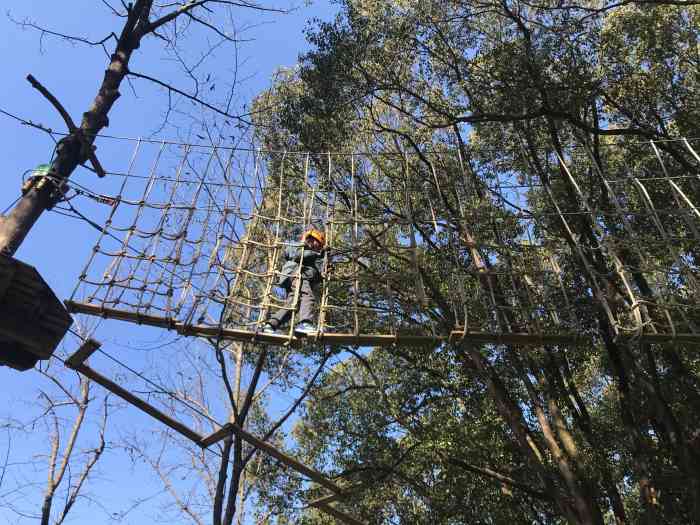 welope紫金山探险公园-"很刺激,孩子玩黄线玩了2次,还要一直玩,.