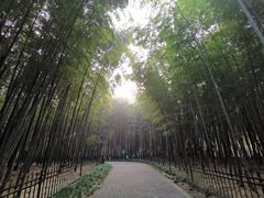 -浙江大学(玉泉校区)