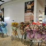 OneCat布偶猫咖~~可可爱爱,超级治愈