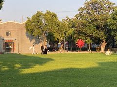 -半岛1919创意园区