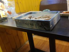 -伯爵·沉浸式超级密室·直营店