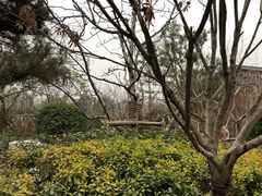 -思念果岭悦温泉