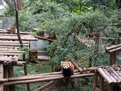 -昆明动物园