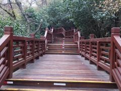 -紫金山天文台