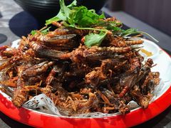 -刘成杰锦州烧烤(南河路店)