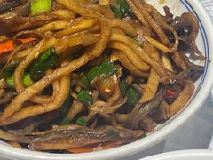 -壹盏灯(惠农店)