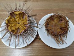 -海胆小馆(东北水饺·春柳店)