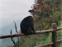 -峨眉山风景名胜区
