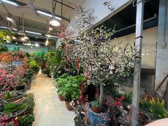 -双季花艺园艺市场(浦东店)