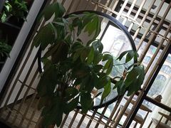 -云锦过桥米线(恒创蜀都公馆店)