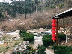 -徂徕山森林康养度假谷温泉