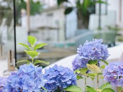 -几静cafe(基湖店)