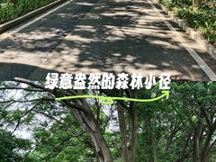 -东莞植物园