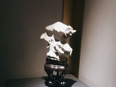 -觀芷隐轩