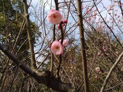 -白塘生态植物园