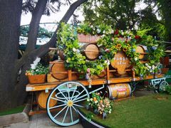 -中山路壹号传奇club·啤酒花园餐厅