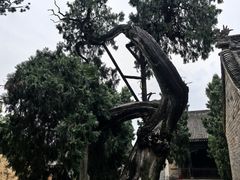 -仓颉庙