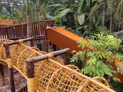 -呀路古热带植物园