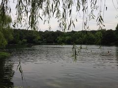 -紫霞湖公园