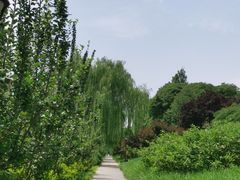 -元大都城垣遗址公园