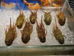 -龙城咖啡厅(常州富都洲际店)