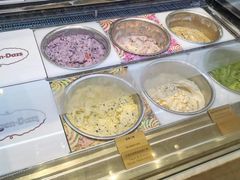 -哈根达斯(石家庄北国店)